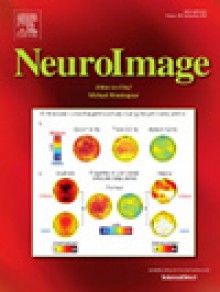 Neuroimage期刊