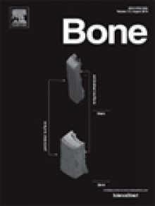 Bone期刊