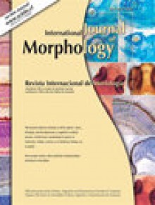 International Journal Of Morphology期刊