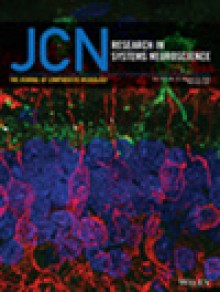 Journal Of Comparative Neurology期刊