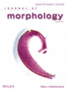 Journal Of Morphology期刊