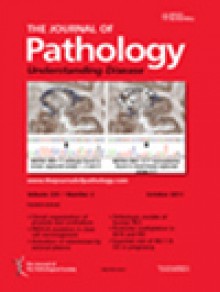 Journal Of Pathology期刊