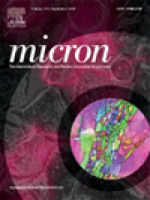 Micron期刊