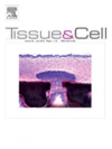 Tissue & Cell期刊