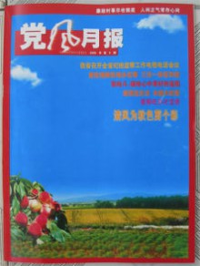 党风月报期刊