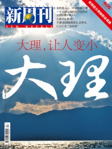 大理期刊