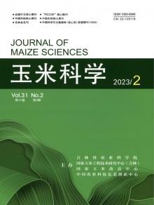 玉米科学期刊