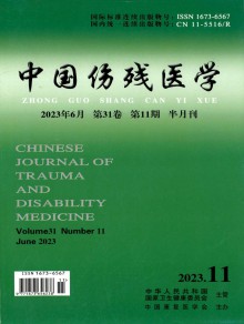 中国伤残医学期刊