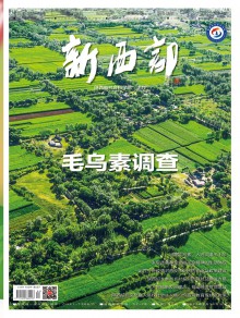 新西部期刊