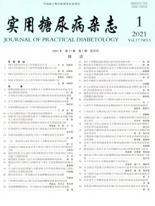 实用糖尿病期刊