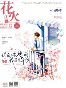 花火·A版期刊