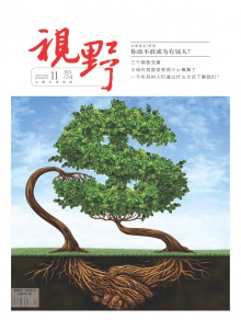 视野期刊