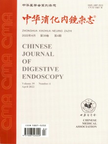 中华消化内镜期刊