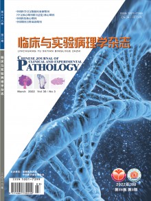 临床与实验病理学期刊