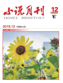 小说月刊期刊