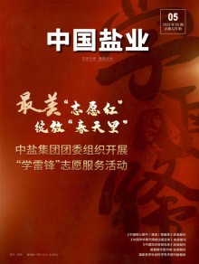 中国盐业期刊