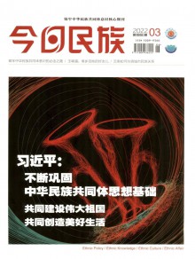 今日民族期刊