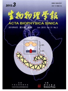 生物物理学报期刊