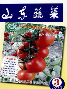 山东蔬菜期刊