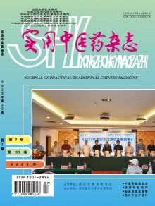 实用中医药期刊