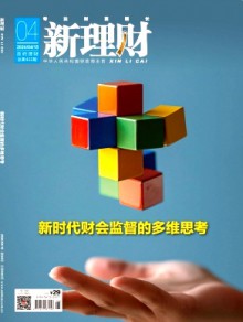 新理财·政府理财期刊