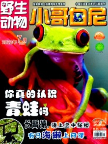 小哥白尼·野生动物画报期刊