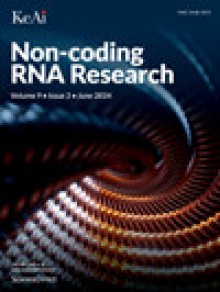 Non-coding Rna Research期刊