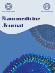 Nanomedicine Journal期刊