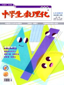 中学生数理化·七年级数学·配合人教社教材期刊